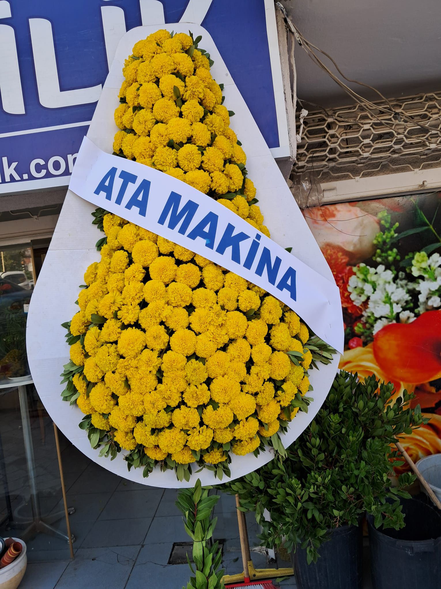 Tek Kat Canlı Çelenk