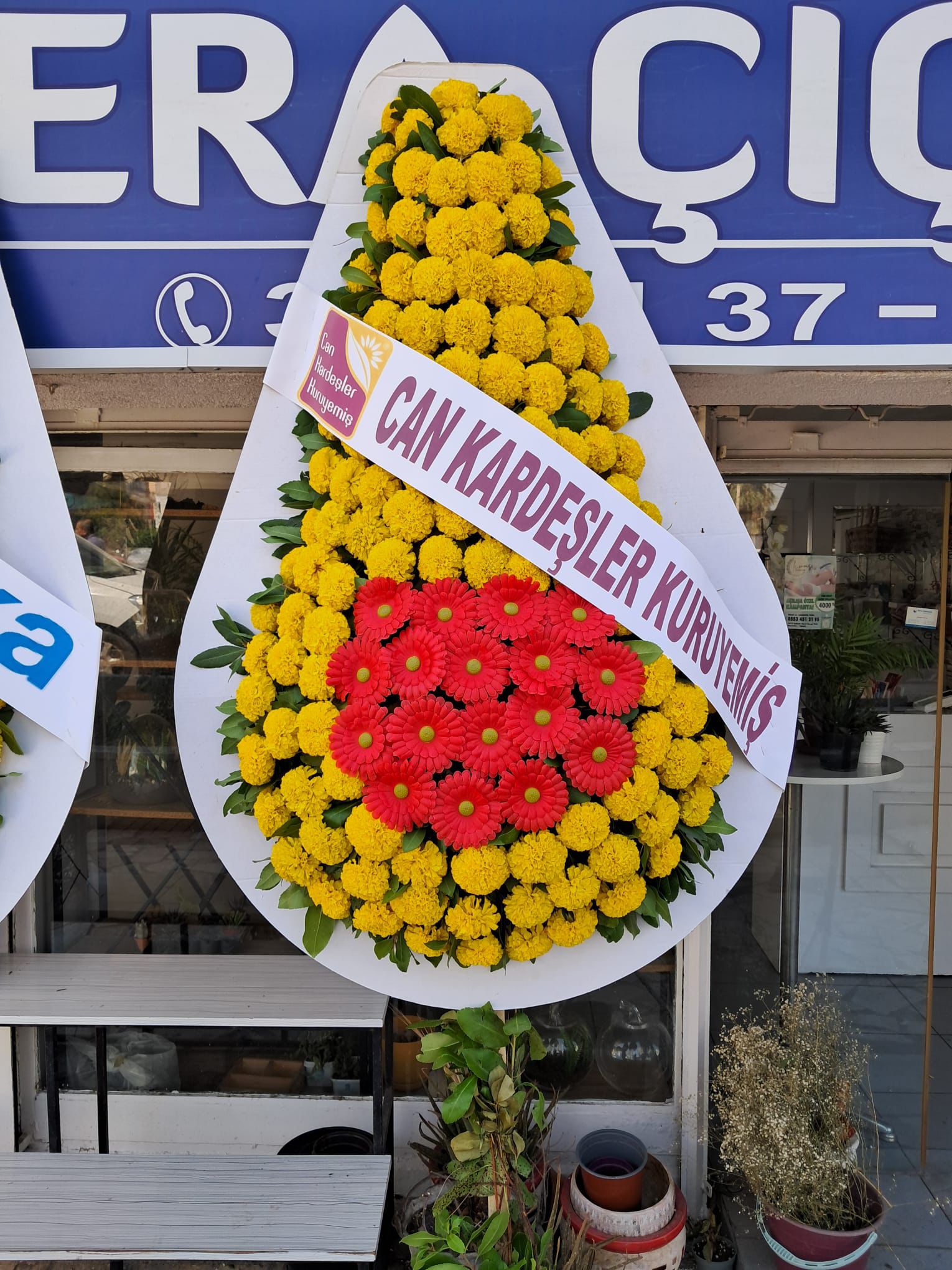 Tek Kat Canlı Çelenk