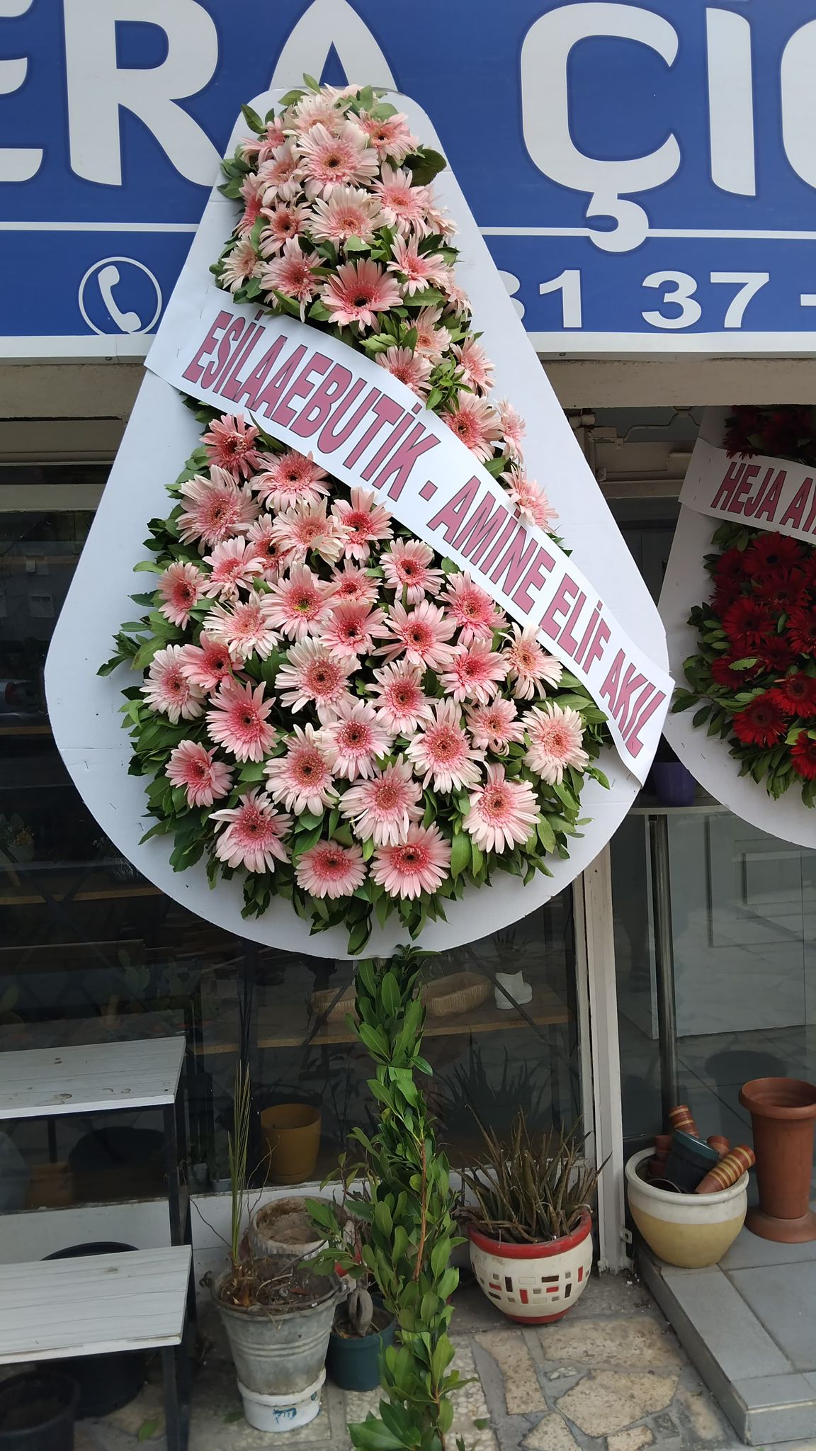 Tek Kat Canlı Çelenk