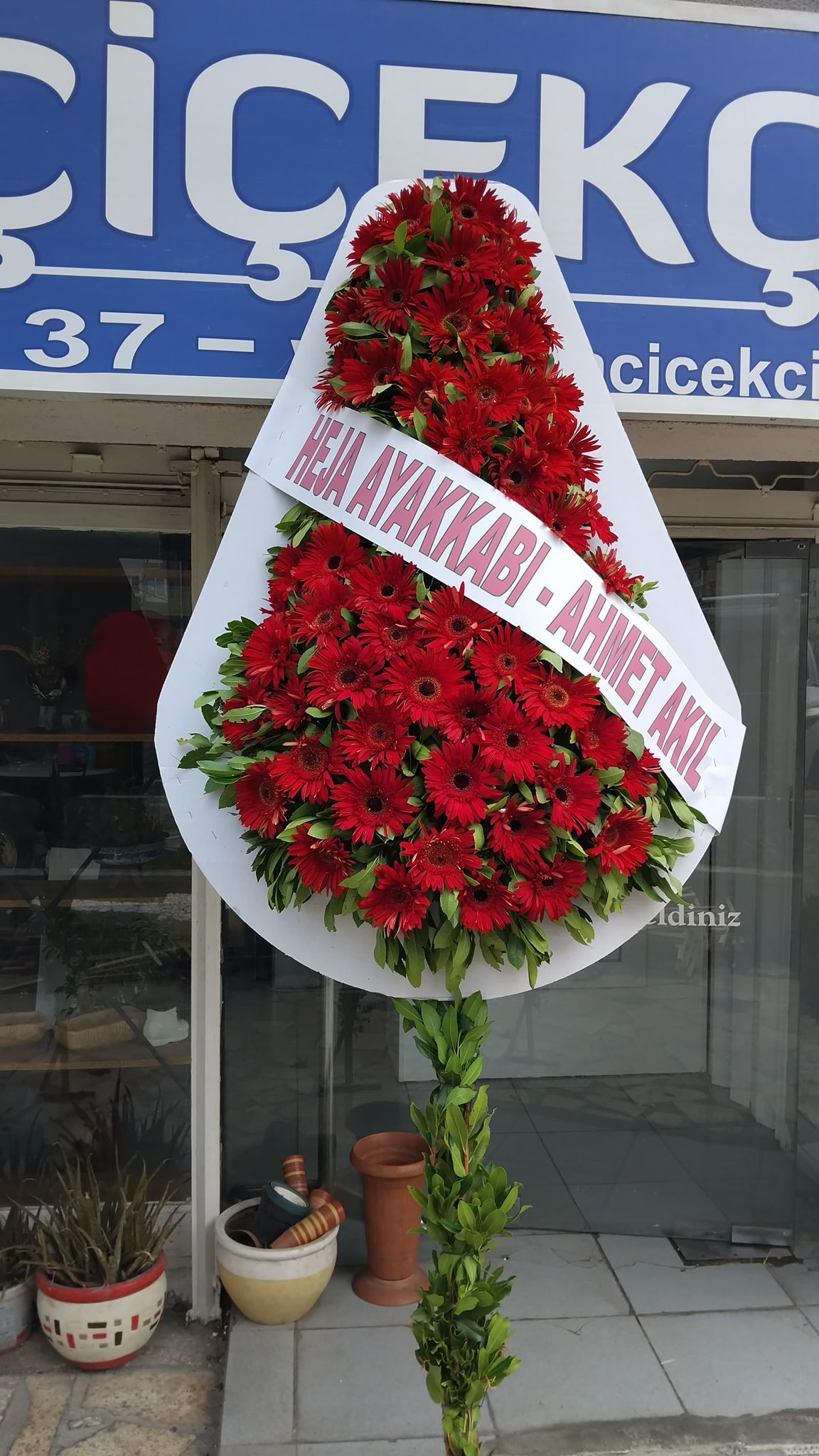 Tek Kat Canlı Çelenk