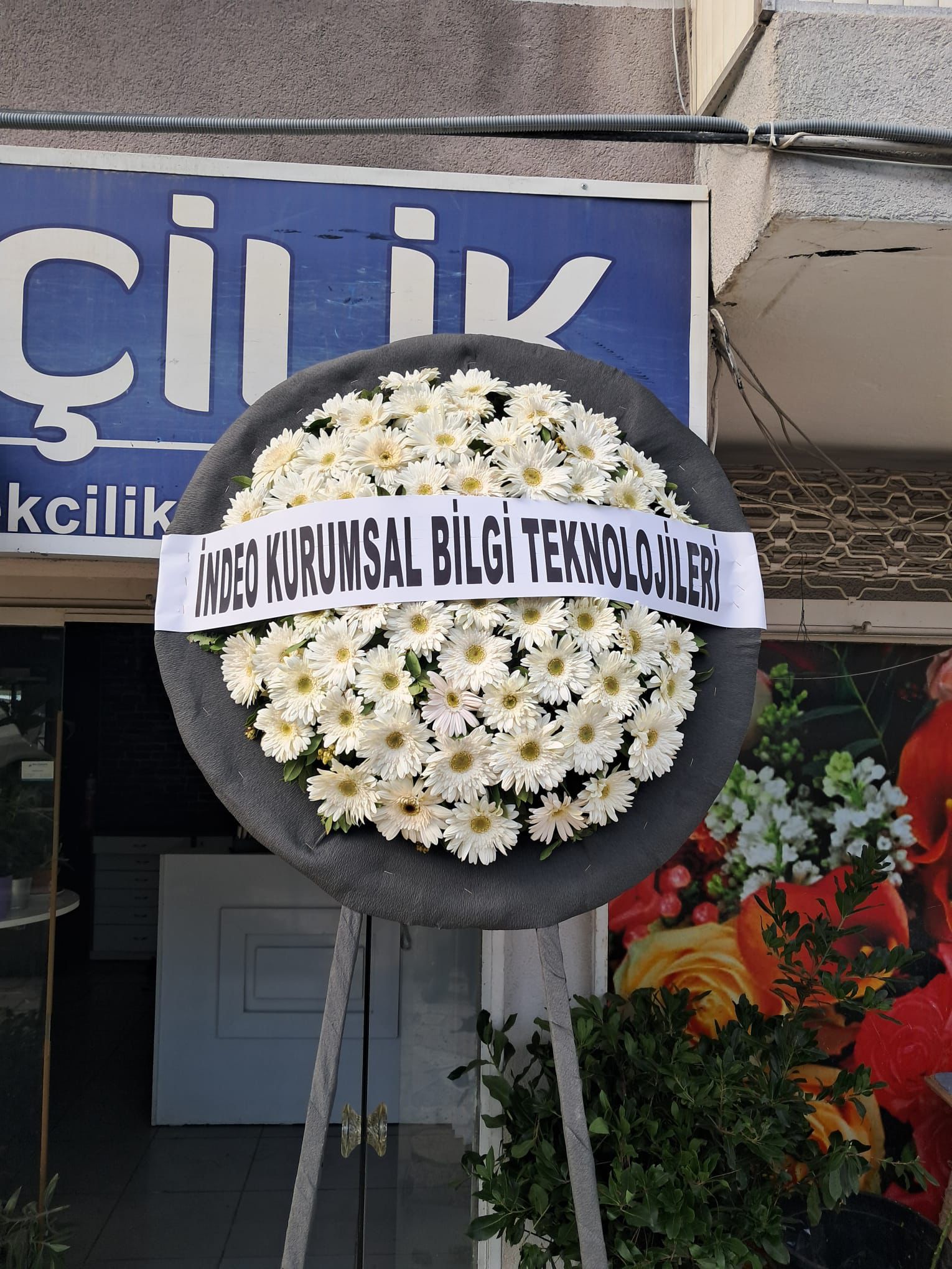 Yuvarlak Model Canlı Cenaze Çelenk